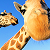 :iconsexyketchupmassacre: