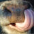 :iconSexySalty: