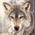 :iconsexyshewolf2792: