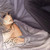 :iconsexyzero-plz: