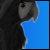 :iconsezzykitten:
