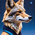 :iconsfdude74: