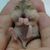 :iconsfistak:
