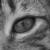 :iconsgamito: