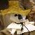 :iconsganarelle77:
