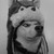 :iconsgt-barksworth: