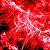 :iconsgtd34d:
