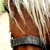 :iconsh-trueblu: