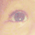 :iconshabeart: