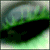 :iconShace: