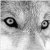 :iconshad0w-seeker: