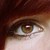 :iconshadamy2010: