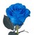 :iconshadamylovererin: