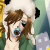 :iconshadath: