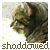 :iconshaddowed-fate: