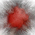 :iconshade-of-gray: