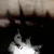 :iconshades-of-ink:
