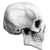 ShadeStrand :iconshadestrand: