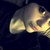 :iconshadeswriter: