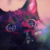 :iconshadeyfellow: