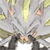 :iconshadic-x-hedgehog:
