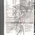 :iconshadicfusion191:
