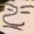 :iconshadina: