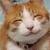 :iconshadokat2005: