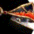 :iconshadouphoenix: