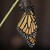 :iconshadow-blood-dragon: