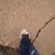 :iconshadow-cell: