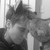 :iconshadow-charm:
