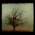 :iconshadow-doomed: