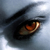 :iconshadow-faeries: