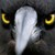 :iconshadow-loves-melissa: