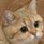 Shadow-of-a-saiyan :iconshadow-of-a-saiyan: