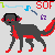 :iconshadow-of-flame: