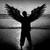 :iconshadow-of-the-angels:
