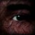 :iconshadow-of-the-dark: