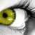 :iconshadow-trail: