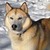 :iconshadow-whisp: