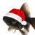 :iconshadow-wolf892: