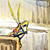 :iconshadow-y: