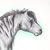:iconshadow1305: