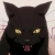 :iconshadow1624: