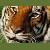 :iconshadow2451: