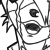 :iconshadow6784: