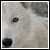 :iconshadowandlevi:
