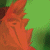 :iconshadowanime2: