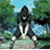 :iconshadowarrancar: